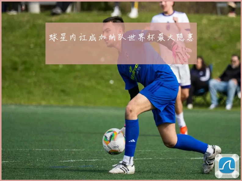 球星内讧成加纳队世界杯最大隐患