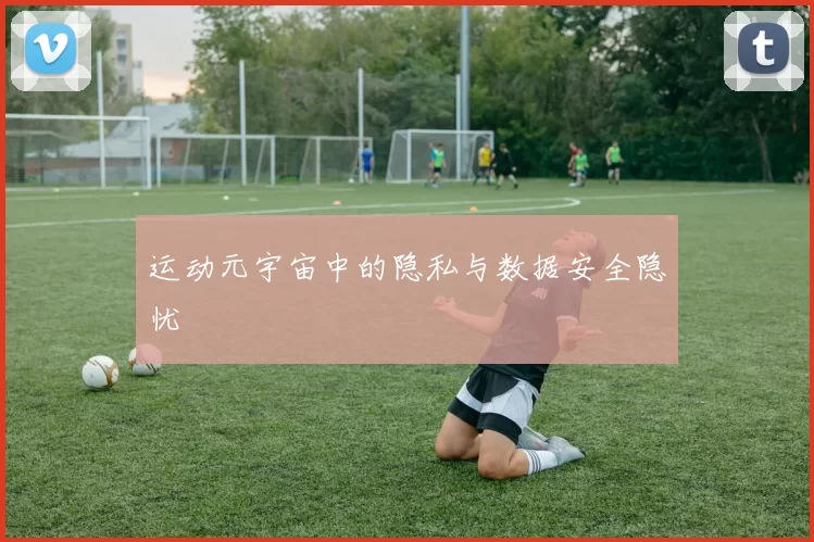 运动元宇宙中的隐私与数据安全隐忧