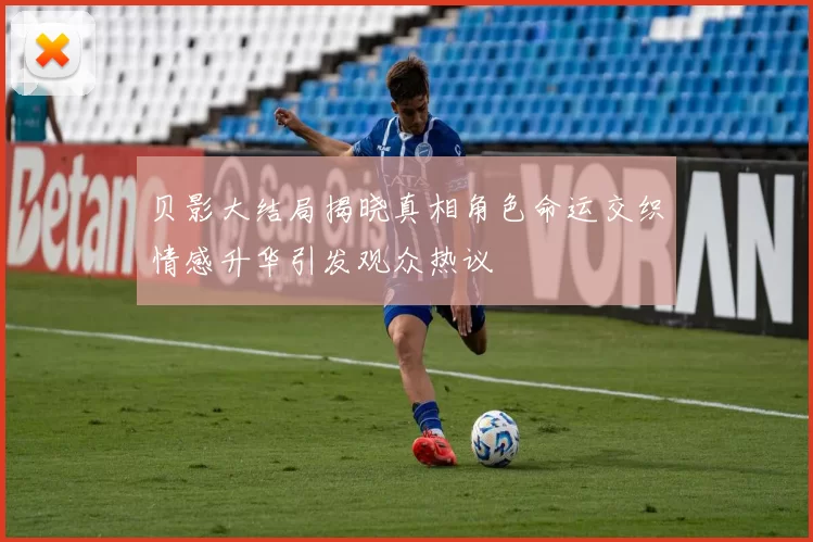 贝影大结局揭晓真相角色命运交织情感升华引发观众热议